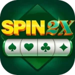 spin 2x